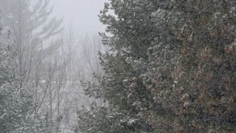 Snow fall - Blizzard - Winter - Snow Storm Stock Footage 171689501