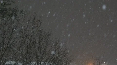 Snow fall - Blizzard - Winter - Snow Storm Stock Footage 171689780