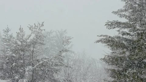 Snow fall - Blizzard - Winter - Snow Storm Stock Footage 236000726