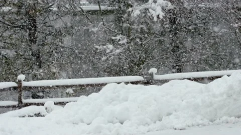Snow fall - Blizzard - Winter - Snow Storm Stock Footage 236000758