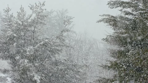 Snow fall - Blizzard - Winter - Snow Storm Stock Footage 236001123