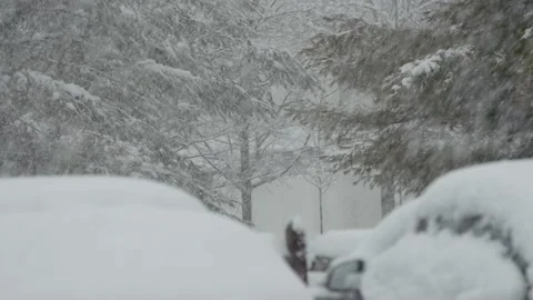 Snow fall - Blizzard - Winter - Snow Storm Stock Footage 236001133