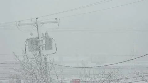 Snow fall - Blizzard - Winter - Snow Storm Stock Footage 236001266