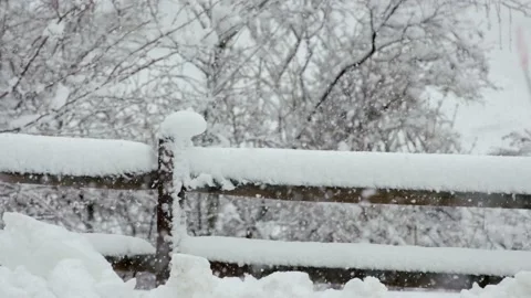 Snow fall - Blizzard - Winter - Snow Storm Stock Footage 236001802