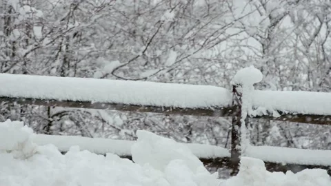 Snow fall - Blizzard - Winter - Snow Storm Stock Footage 236002139