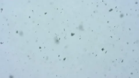 Snow fall - Blizzard - Winter - Snow Storm - Abstract Video stock 236002504