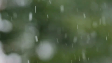 Snow Fall with Blurred Background Stock-Footage 35826003