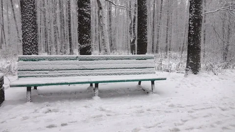 Snow fall in city park. Vídeo Stock 98235632