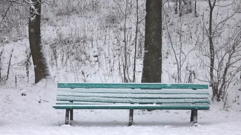 Snow fall in city park. Stock Footage 98496141