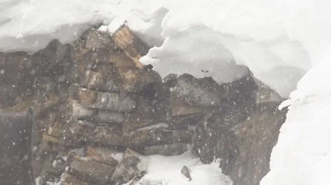 Snow-Fall. Closeup Wood Trunk. Winter Cold Season Day Stock Footage 64335551