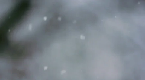 Snow Fall with Defocused Background Stock Footage 35825274