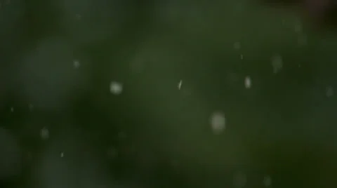 Snow Fall with Defocused Background Stock Footage 35825490