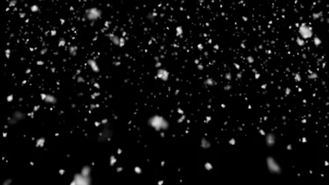 Snow Fall Effect isolated on Black Background Stock video Footage Stock Footage 295044381