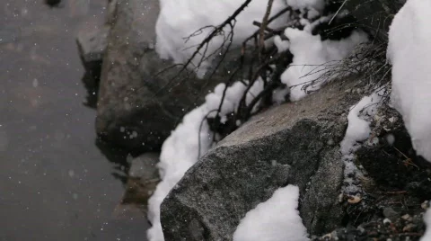Snow Fall Fast Shutter 2 Stock Footage 681730