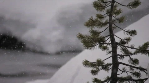 Snow Fall Fast Shutter 3 Stock Footage 681742