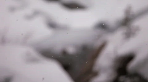 Snow Fall Fast Shutter  Stock Footage 681734