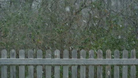 Snow Fall by Fence Stock Footage 302315301