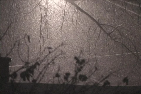 Snow Fall Stock Footage 92062