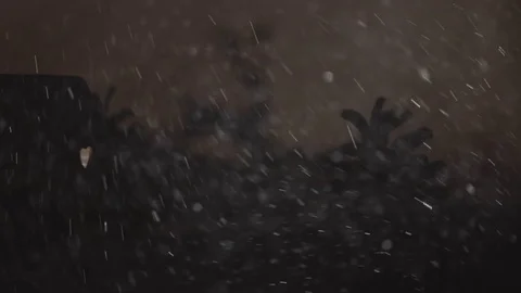 Snow fall on gingerbread house surrounded by fir-trees and snow drifts Stock-Footage 70062601