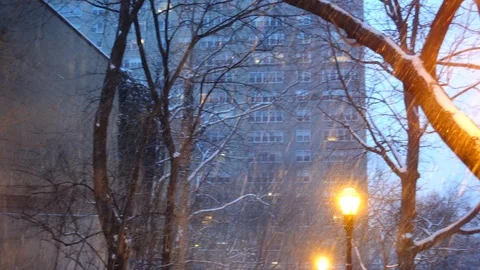 Snow fall on lamppost in nyc Stock Footage 106486598