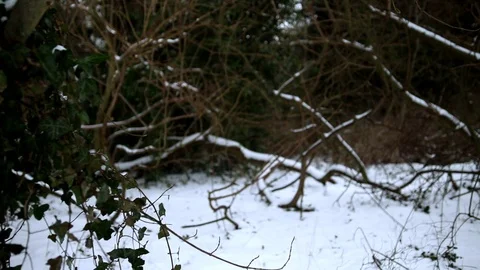 Snow Fall Moving Through The Snowy Woodland park Stock Footage 90270282