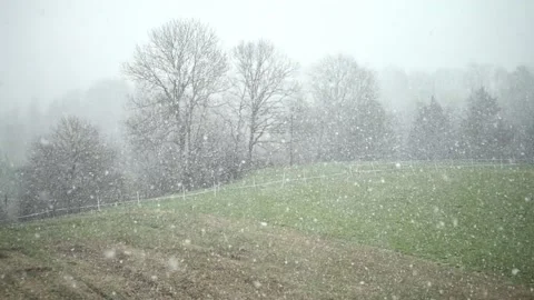 Snow Fall Over Green Field Morning Stock Footage 156522815