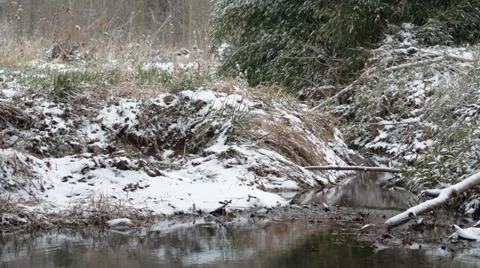 Snow Fall Over a Pond Stock Footage 33289581