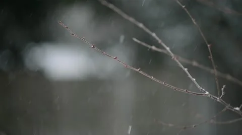 Snow Fall Seamless Loop Stock Footage 20513952