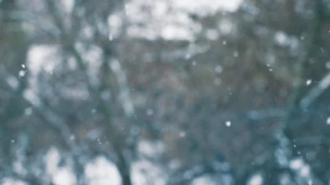 Snow fall in slow motion Stock Footage 106273338