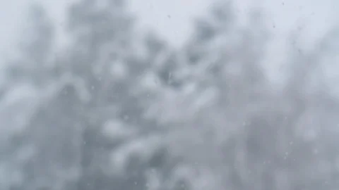Snow Fall in slow motion Stock Footage 118424318