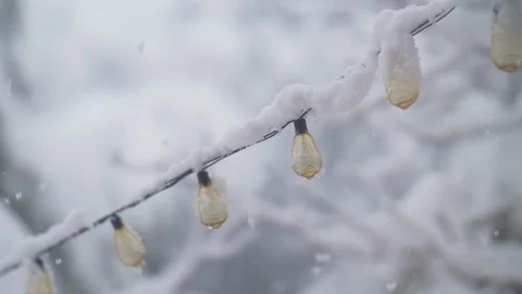 Snow Fall in slow motion Video stock 118424678