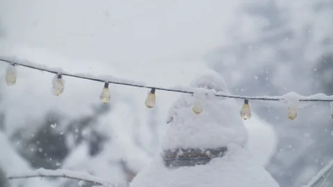Snow Fall in slow motion Stock Footage 118424828