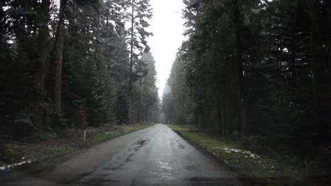 Snow Fall Slow Motion Road In The Forest Stock Footage 156522857