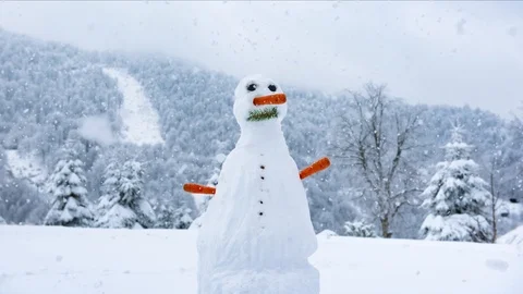Snow fall on Snow Man in Winter, Carrot Nose Snowman with Forest &amp; Mountains Stock Footage 96067519