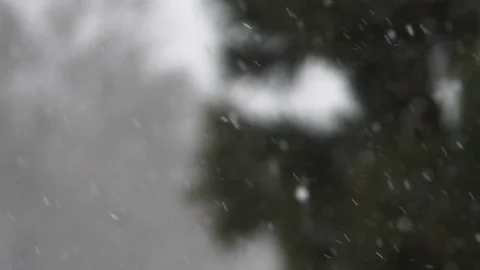 Snow Fall Soft Background in Colorado Springs Stock-Footage 106384510