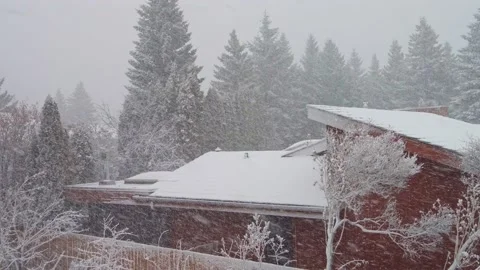 Snow fall with strong wind and low visibility Stock Footage 152921307