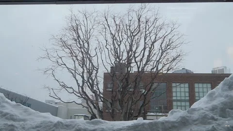 Snow fall with tree in the back ground in slow motion, hokkaido japan. Stock Footage 151513095