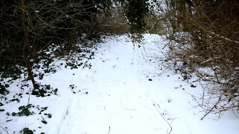Snow Fall  Walking along snowy park path Stock Footage 90270197