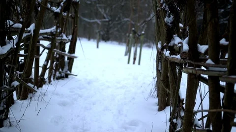 Snow Fall Walking Through Tree Arch in the park Stock Footage 90275514