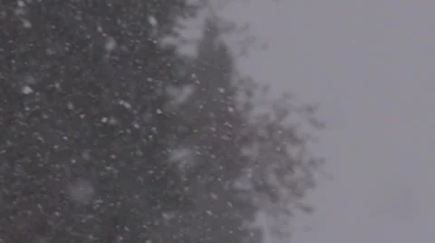 Snow-Fall.  Winter Cold Season Day Stock Footage 64334681
