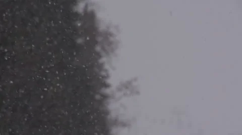 Snow-Fall.  Winter Cold Season Day Stock Footage 64334784