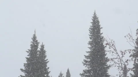 Snow-Fall.  Winter Cold Season Day Stock Footage 64334834