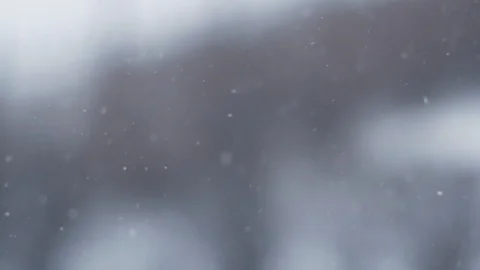 Snow Fall. Winter. 動画素材 87247113