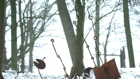 Snow fall on World War One battlefields : relics of trench, Ypres, Belgium Stock Footage 101907986