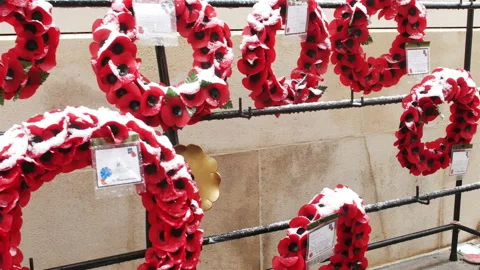 Snow fall on World War One battlefields : poppies at Menin Gate, Ypres, Belgium Stock Footage 102190624