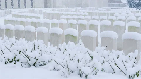 Snow fall on World War One battlefields : Tyne Cot Cemetery, Ypres, Belgium Stock Footage 102200072