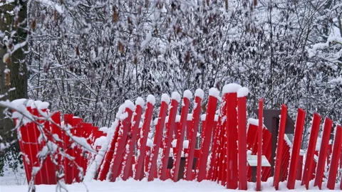 Snow fall on WWI battlefields : Passchendaele 1917 Museum and gardens Stock Footage 102219587