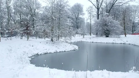 Snow fall on WWI battlefields : Passchendaele 1917 Museum and gardens Stock Footage 102220001