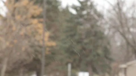 Snow falling 1 動画素材 14871509