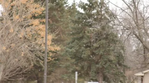 Snow falling 2 動画素材 14871494